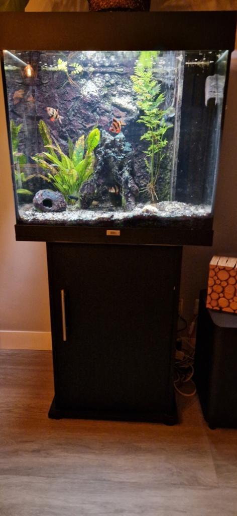 Aquarium Juwel Lido 120, Ophalen, Overige typen