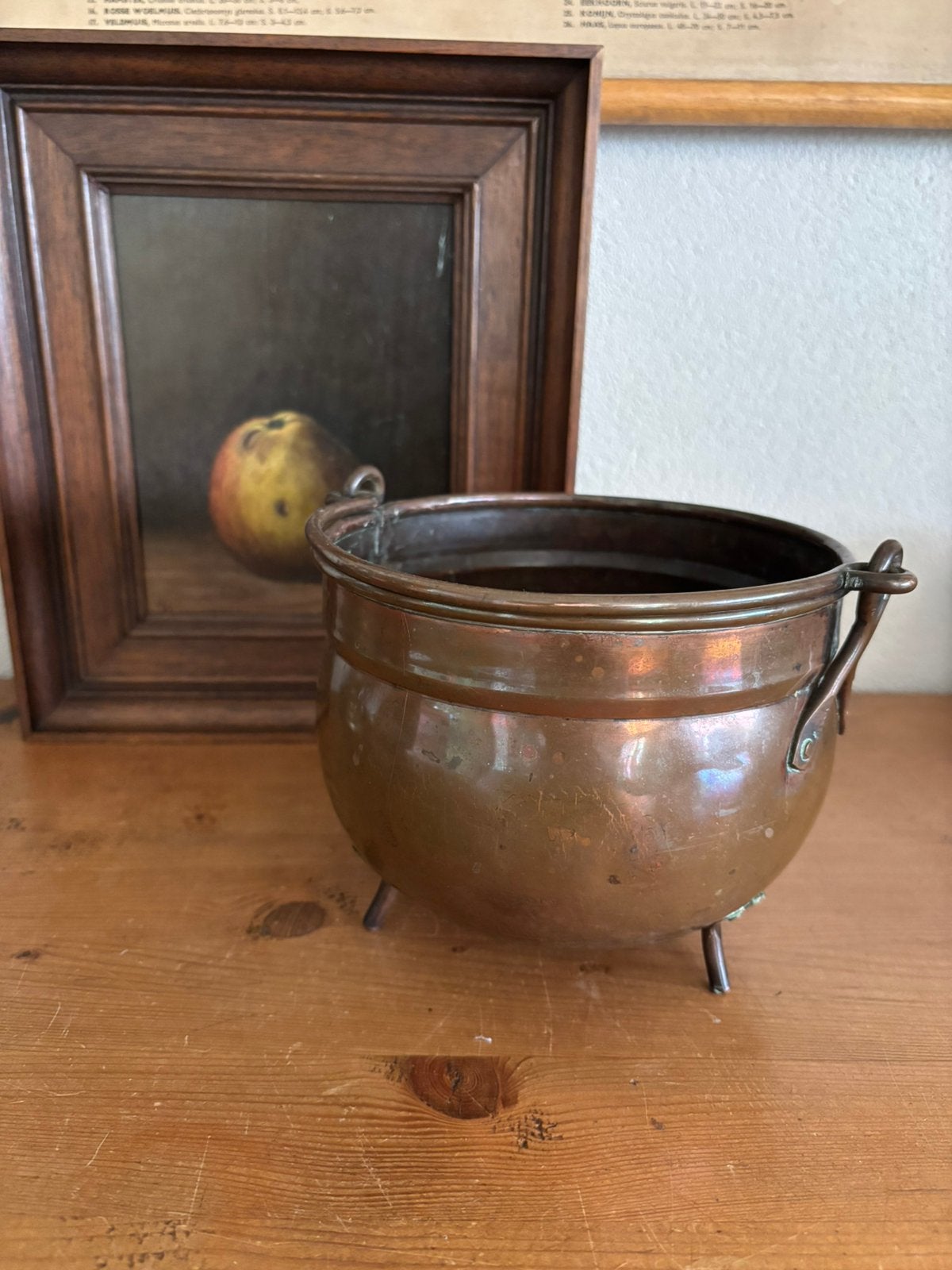 Koperen ketel - bloempot, Antiek en Kunst, Ophalen of Verzenden, Koper