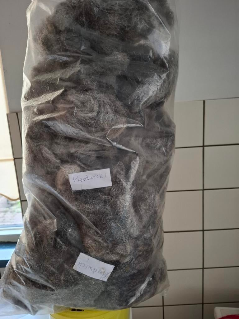 Gewassen wol van  Herdwick schaap1, in grijstinten, Ophalen of Verzenden, Nieuw, Spinwol