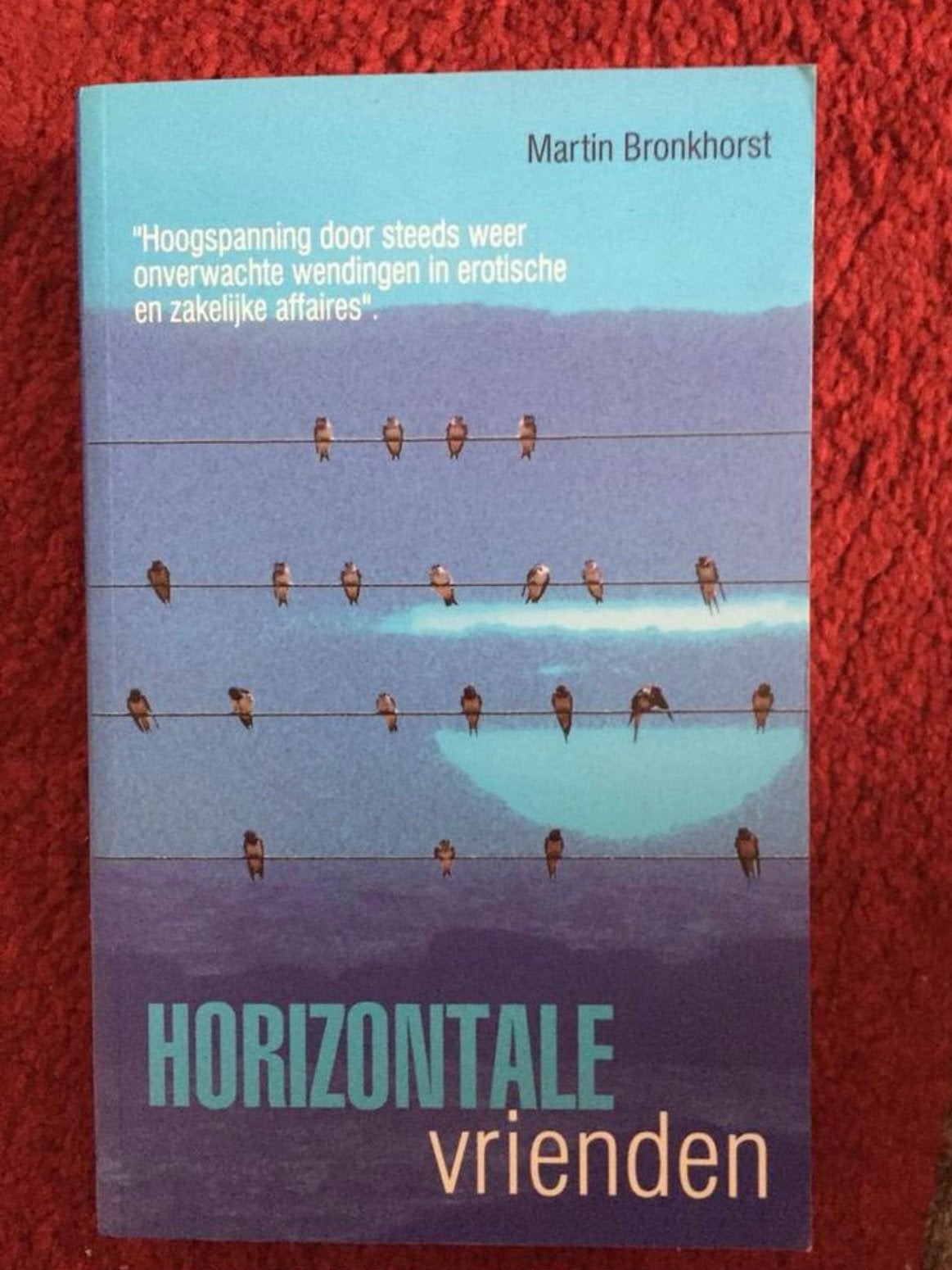 NIEUW, Roman, Hotizontale Vrienden, Spanning, Humoristisch, Ophalen, Nieuw