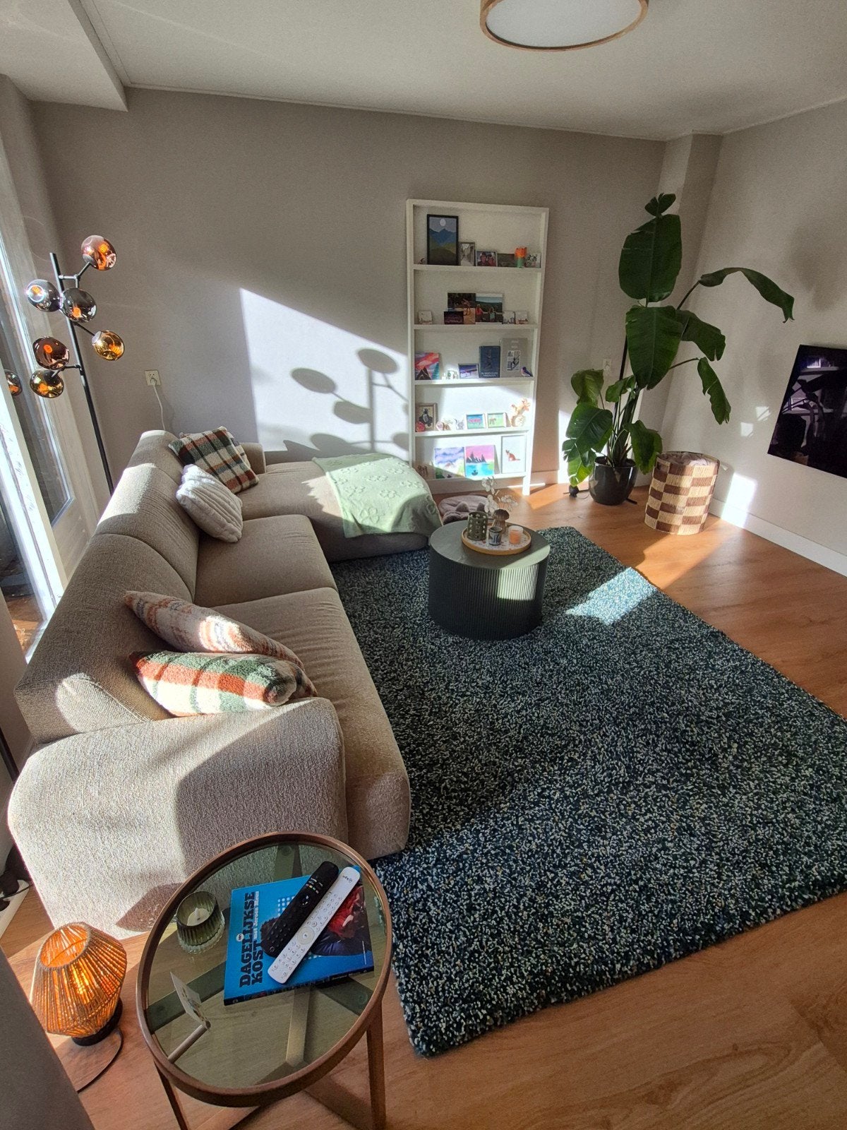 Ikea Vindum hoogpolig kleed, Ophalen, Zo goed als nieuw, 200 cm of meer, 150 tot 200 cm