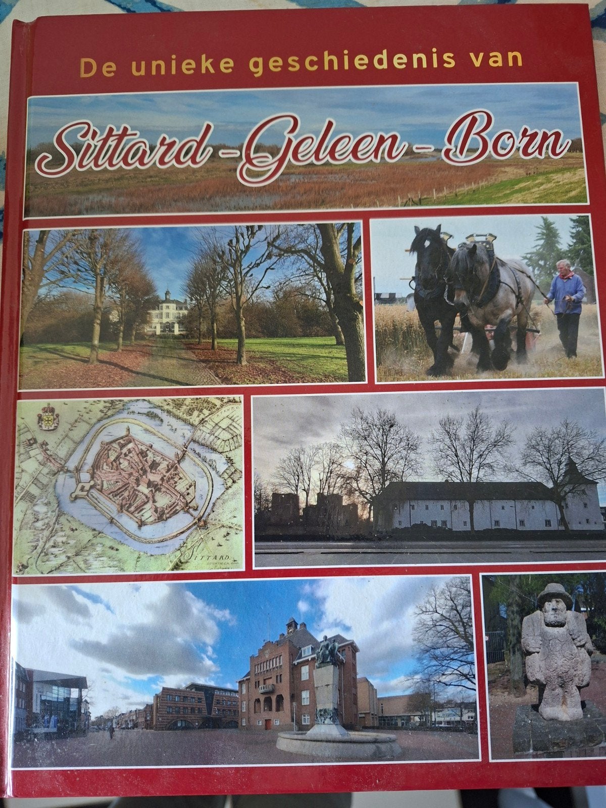 De unieke geschiedenis van Sittard-Geleen-Born, Ophalen of Verzenden, 20e eeuw of later, Zo goed als nieuw, Onbekend