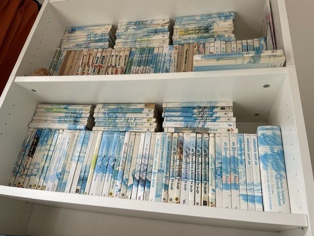 Kameleon boeken, Ophalen of Verzenden, Gelezen, H. de Roos, Non-fictie