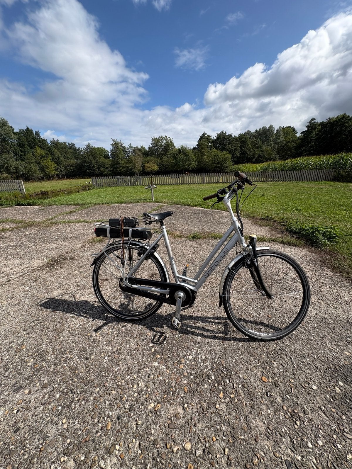 Batavus elektrische fiets - elektrische kant defect, Fietsen en Brommers, Elektrische fietsen, Ophalen, Gebruikt, Batavus