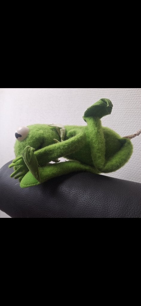 Kermit de kikker van fisherprice ( vintage ), Ophalen of Verzenden, Gebruikt, Overige typen
