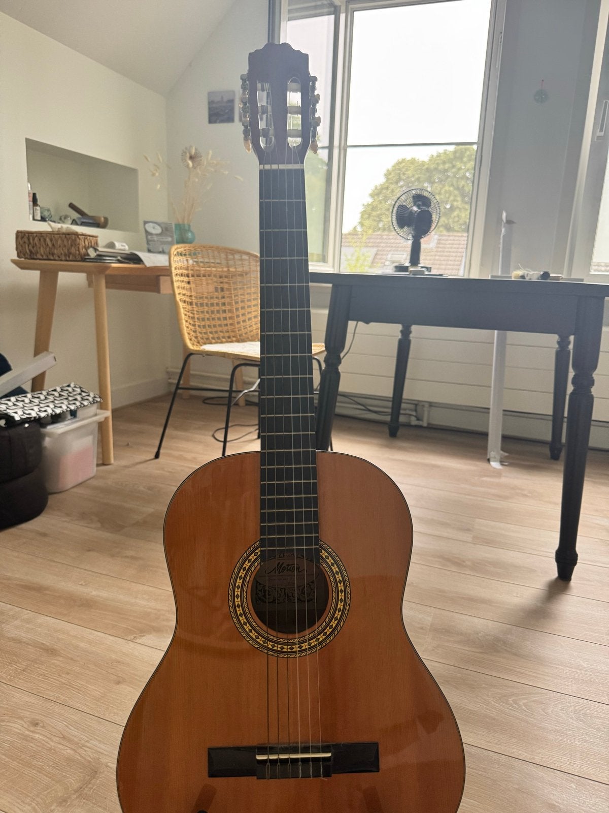 Motion Klassieke Gitaar TC-901 met standaard en hoes, Ophalen, Gebruikt, Klassieke of Spaanse gitaar, Met koffer