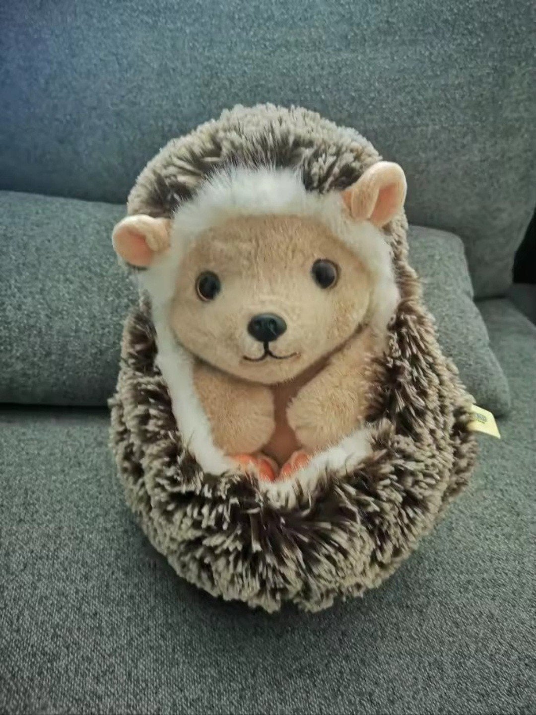 Super schattige en zachte egel knuffel (ca. 20 cm), Overige typen, Nieuw, Ophalen of Verzenden, Middelgroot (20 tot 80 cm)