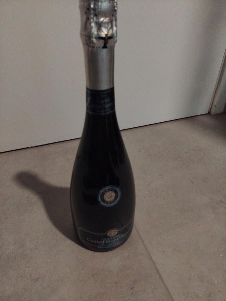 Castell Sant Antoni Cava Gran Brut, een mousserende wijn uit, Ophalen of Verzenden, Nieuw