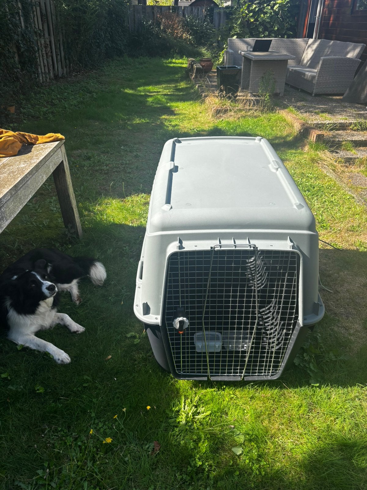 Honden kennel voor vliegen, Ophalen, Zo goed als nieuw
