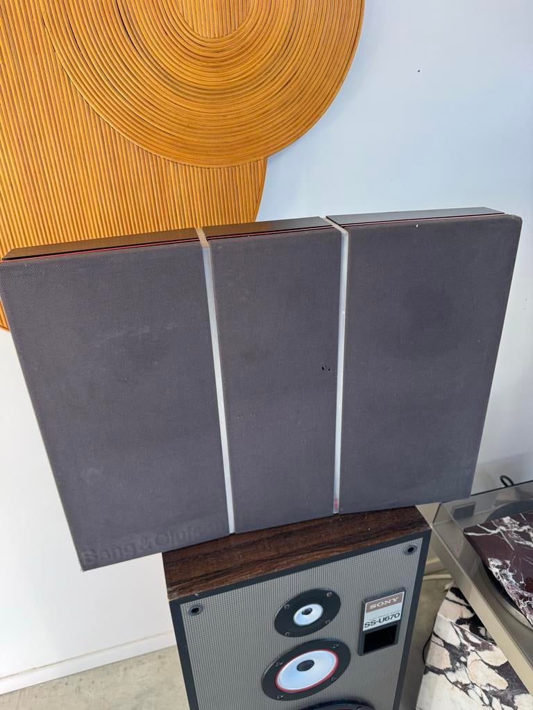 Bang & Olufsen BeoVox RL 60 Speakers, Audio, Tv en Foto, Luidsprekers, Ophalen, Gebruikt, Front, Rear of Stereo speakers, Overige merken