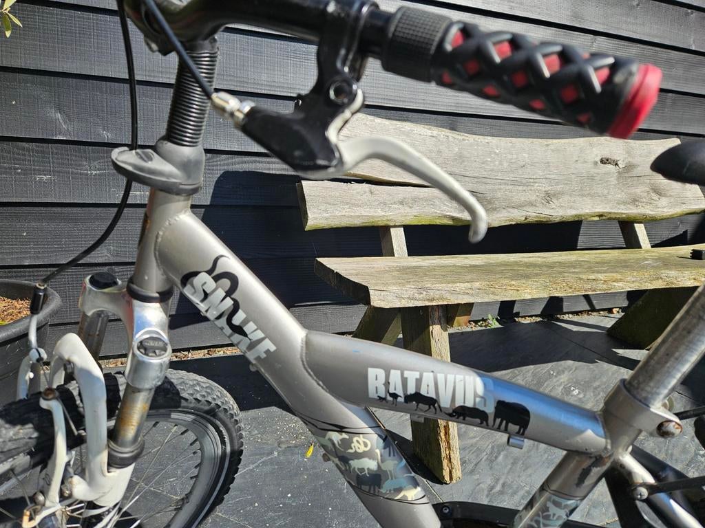 Kinderfiets Snake Batavus 20 inch - Gebruikt, Fietsen en Brommers, Gebruikt, Velgrem, Versnellingen, Ophalen of Verzenden