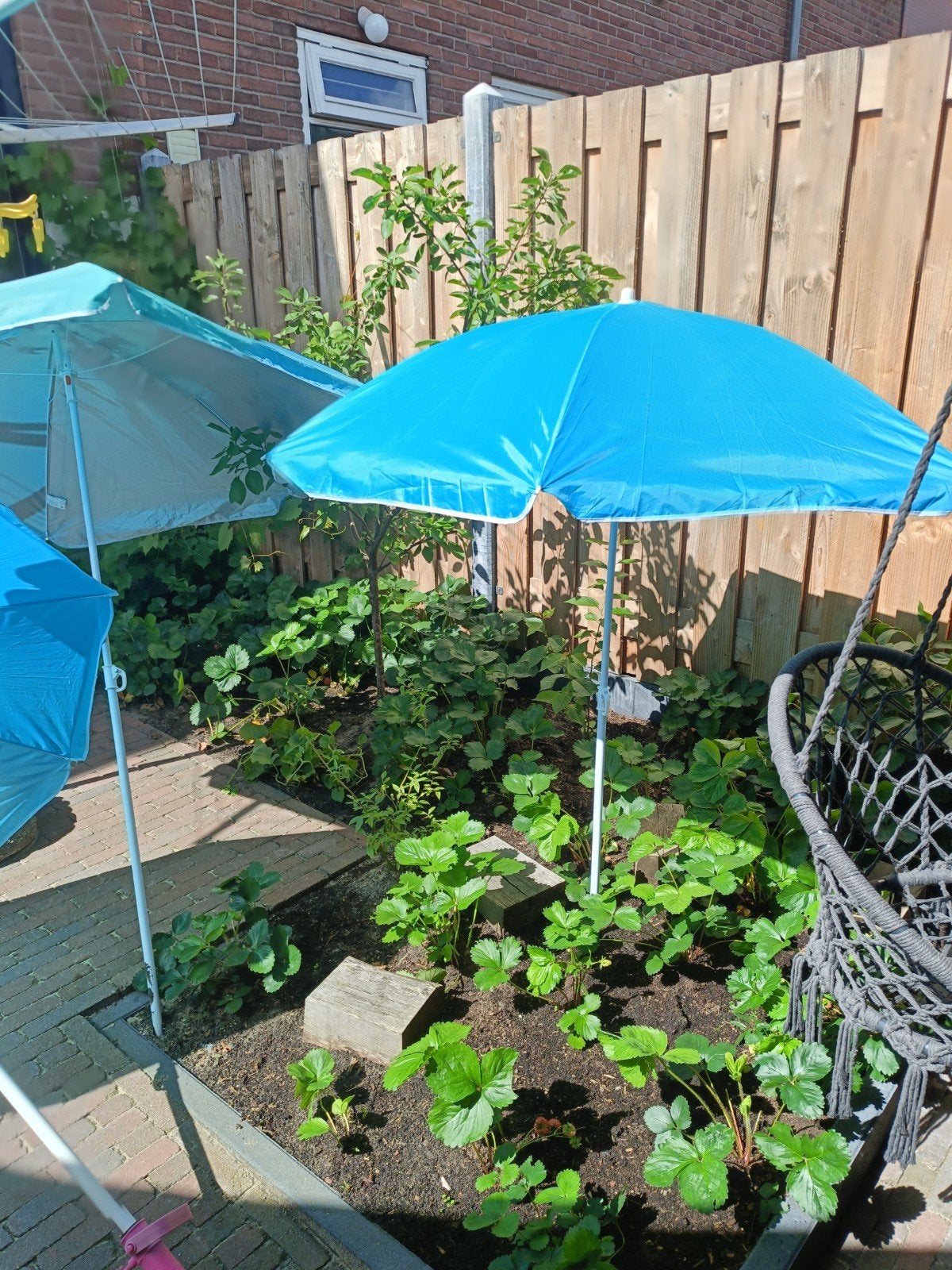 3 strand parasols, Ophalen of Verzenden, 1 tot 2 meter, Strandparasol