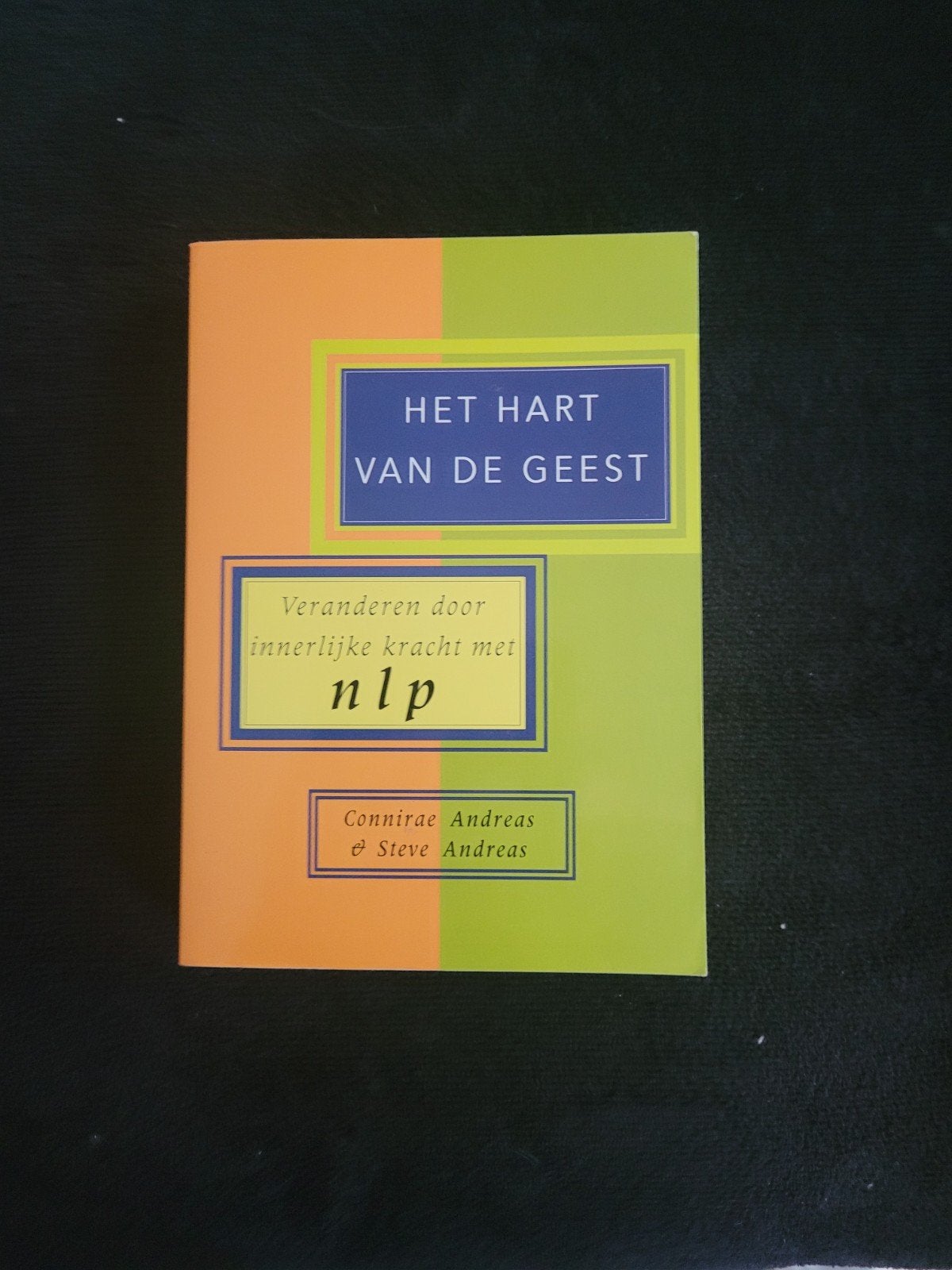 het hart van de geest, Boeken, Gelezen, Connirae Andreas & Steve Andreas, Spiritualiteit algemeen, Ophalen of Verzenden