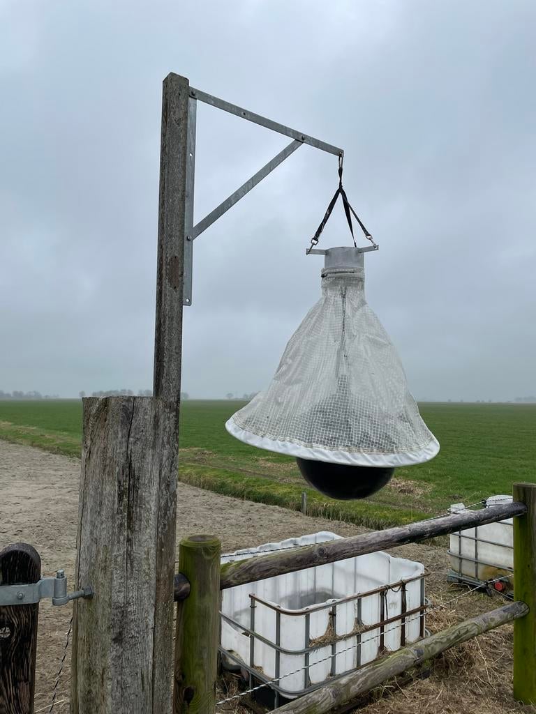 Dazenval, Ophalen, Gebruikt, Overige soorten