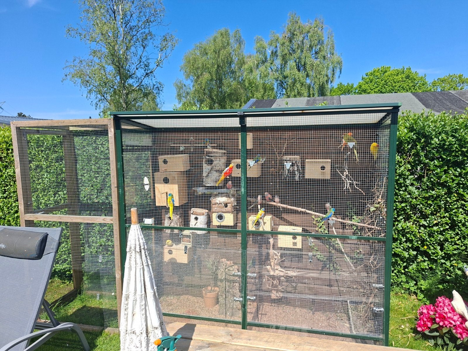 Voliere aluminium en hout, Dieren en Toebehoren, Vogels | Hokken en Kooien, Ophalen, Aluminium, Volière