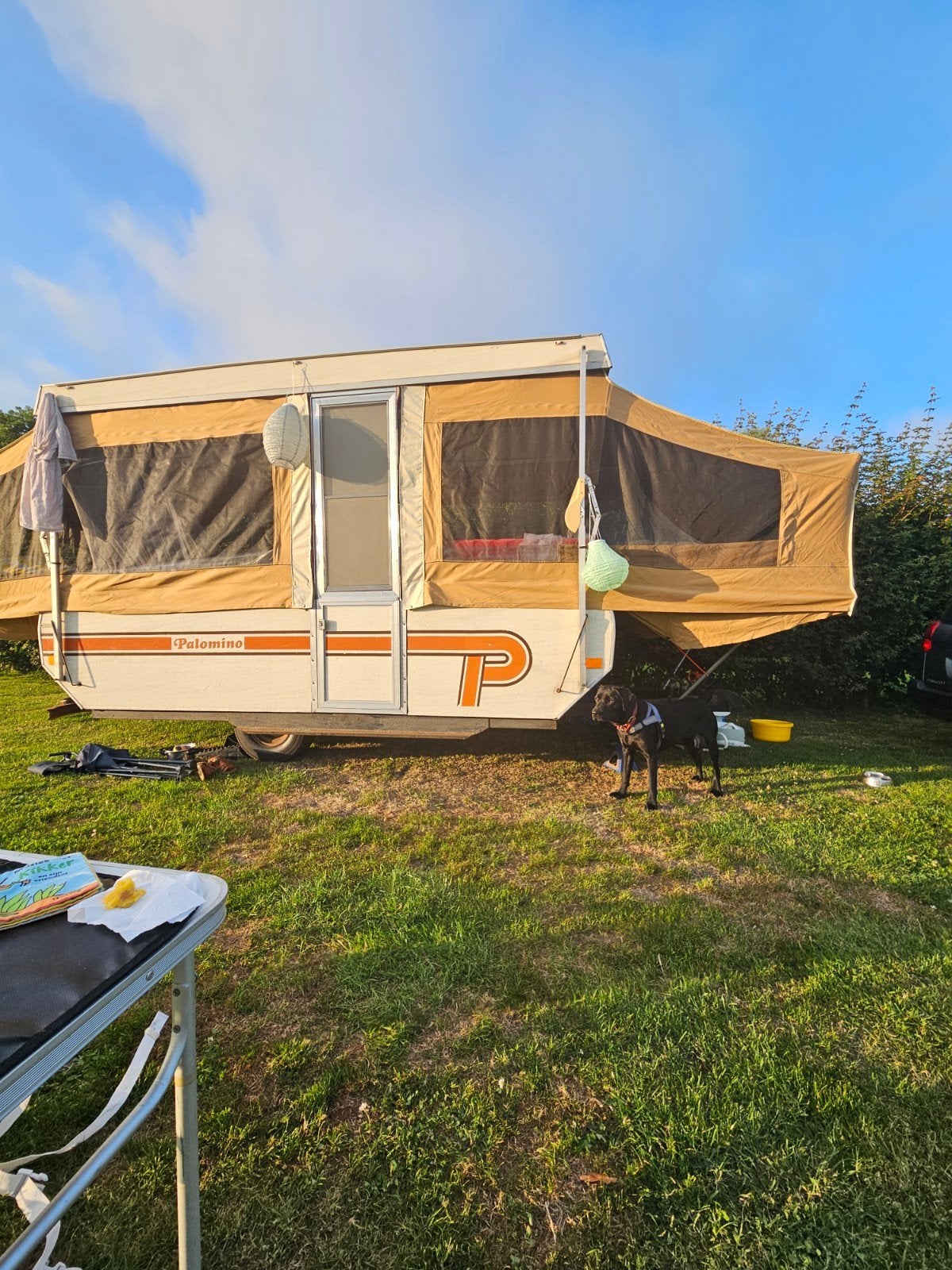 Palomino, Amerikaans model vouwwagen uit 1981. Opknapper, Caravans en Kamperen, Kampeeraccessoires, Ophalen
