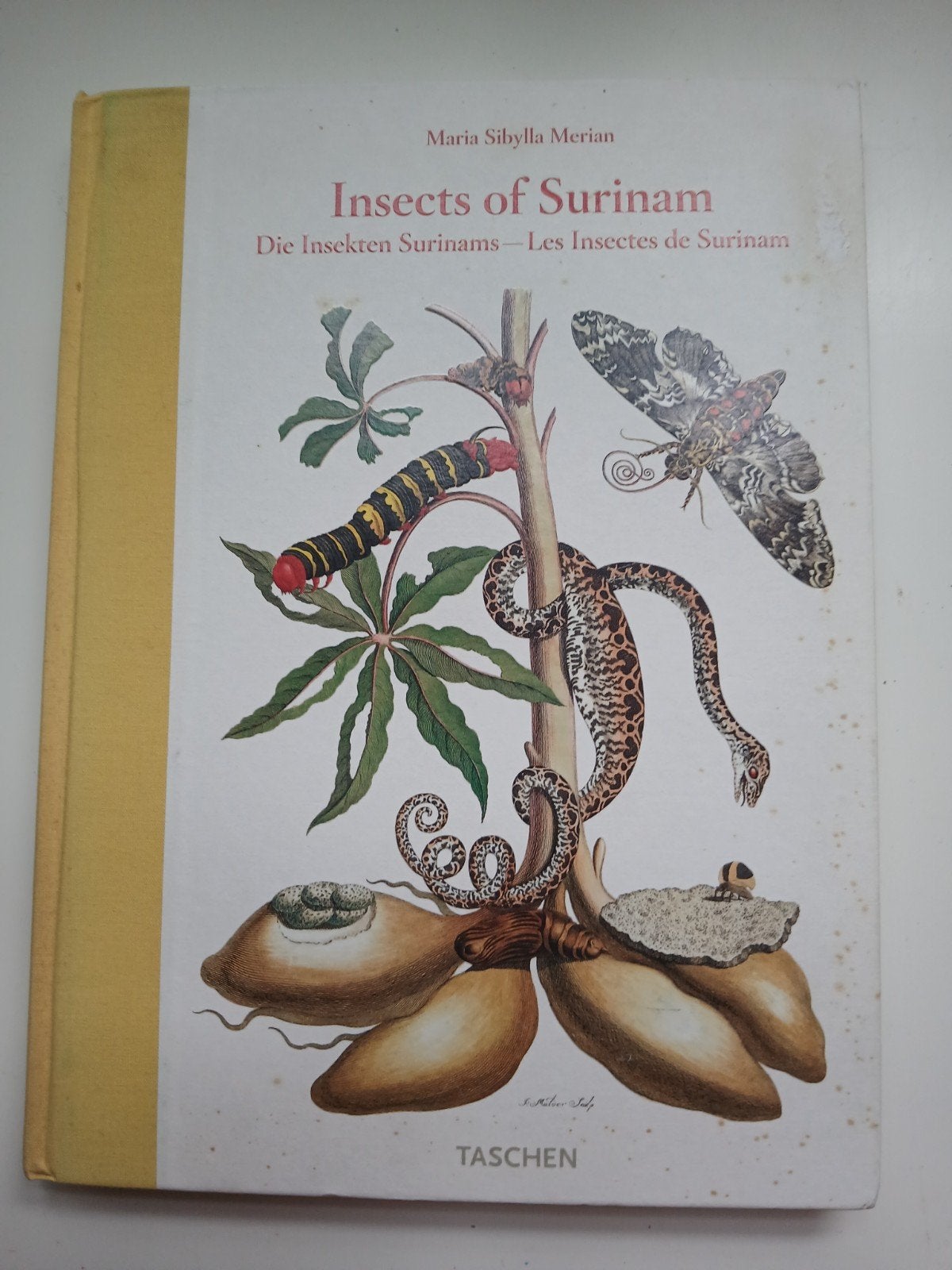 Insects of Surinam - Hardcover editie, Boeken, Verzenden, Gelezen, Natuur algemeen, Maria Sibylla Merian