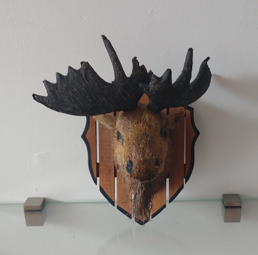wand decoratie imitatie elandkop, volgnr 44, Gebruikt, Meerkleurig, Decoratieobject, Ophalen of Verzenden
