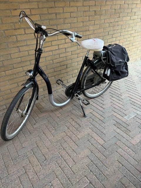 Sparta Entree elektrische fiets, Fietsen en Brommers, Ophalen, Gebruikt, Sparta