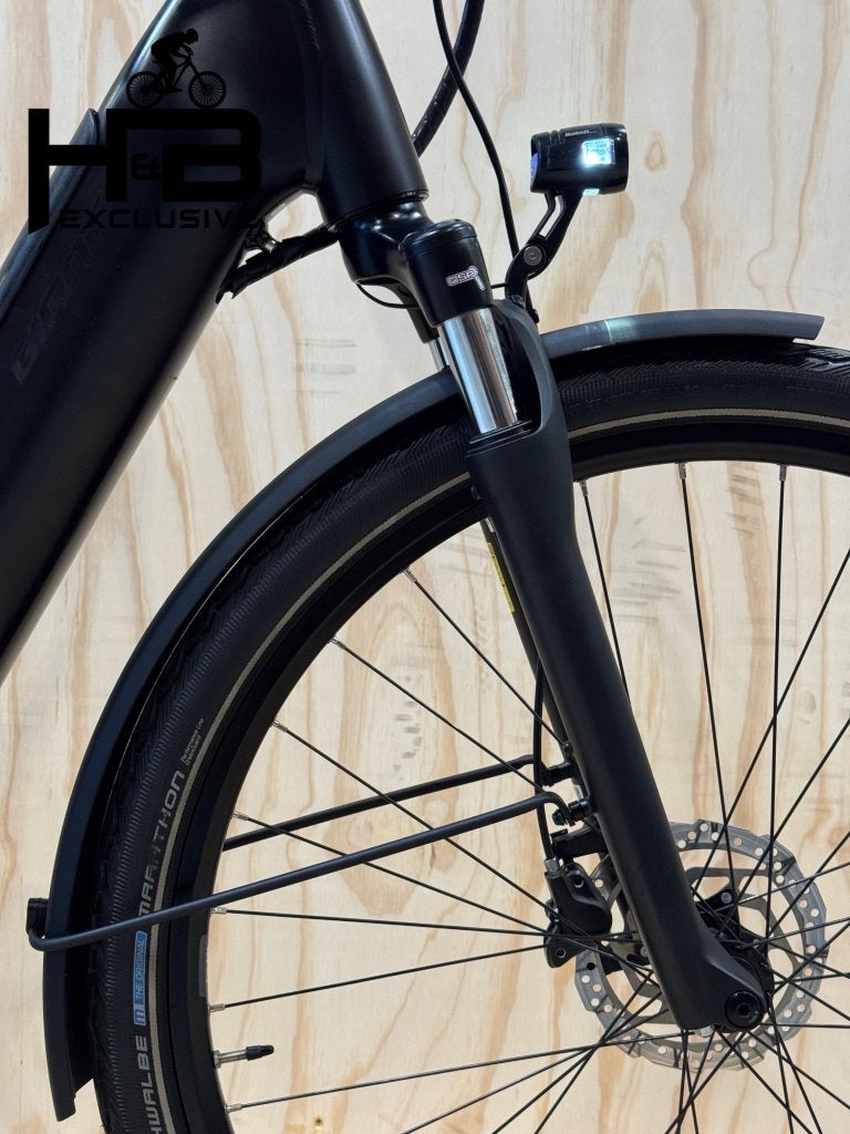 Giant DailyTour E+ 2 LDS E-Bike Shimano Nexus, Fietsen en Brommers, Niet ingevuld, Niet ingevuld, Zo goed als nieuw, 47 tot 51 cm