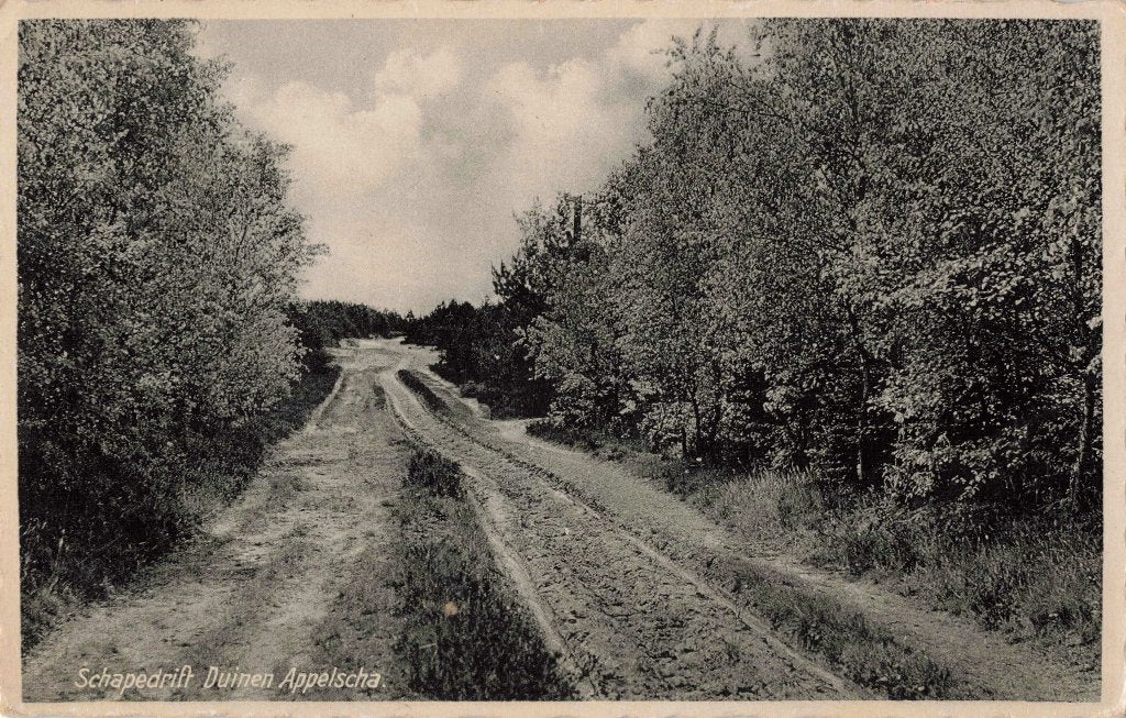 Appelscha Duinen Schapedrift L3060, Ophalen, 1920 tot 1940, Gelopen, Friesland