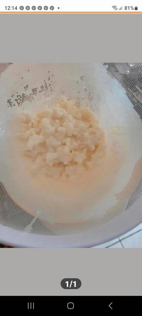 BiologischeTibetaanse  Kefir, Ophalen of Verzenden