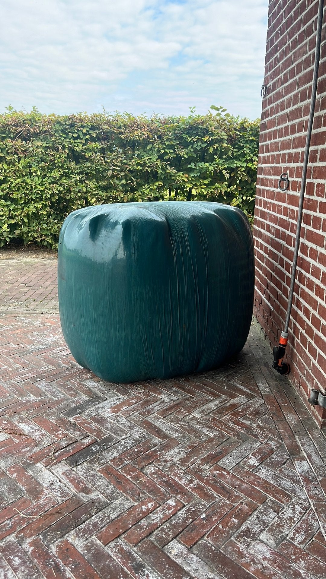 Hooi paarden, Ophalen, Vee