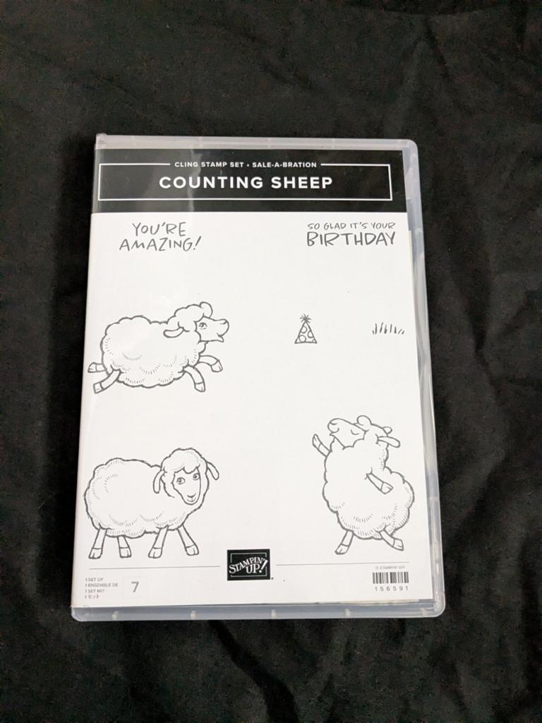 Set Stampin'up/embossing, Ophalen of Verzenden, Zo goed als nieuw, Clearstamp