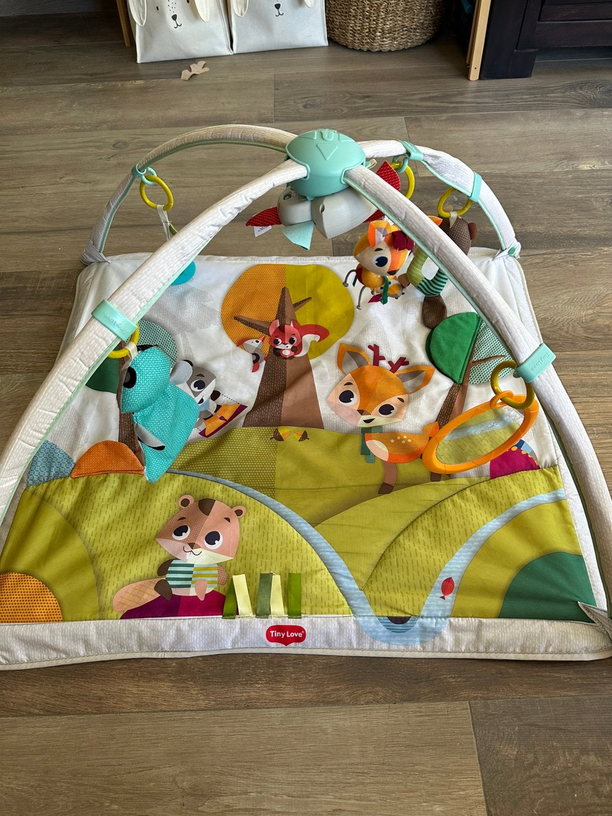 Tiny Love Babygym, Ophalen of Verzenden, Gebruikt