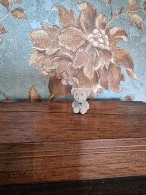 Schattig klein beertje van 2 cm, Verzamelen, Beren en Cherished Teddies, Ophalen of Verzenden, Zo goed als nieuw