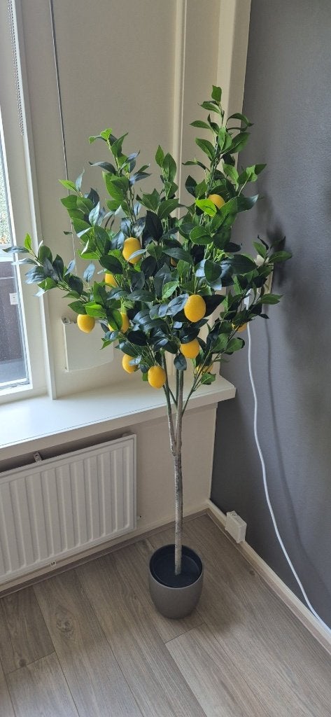 Kunstboom, Binnen, Onderhoudsvrij, 160 cm, Kunstplant
