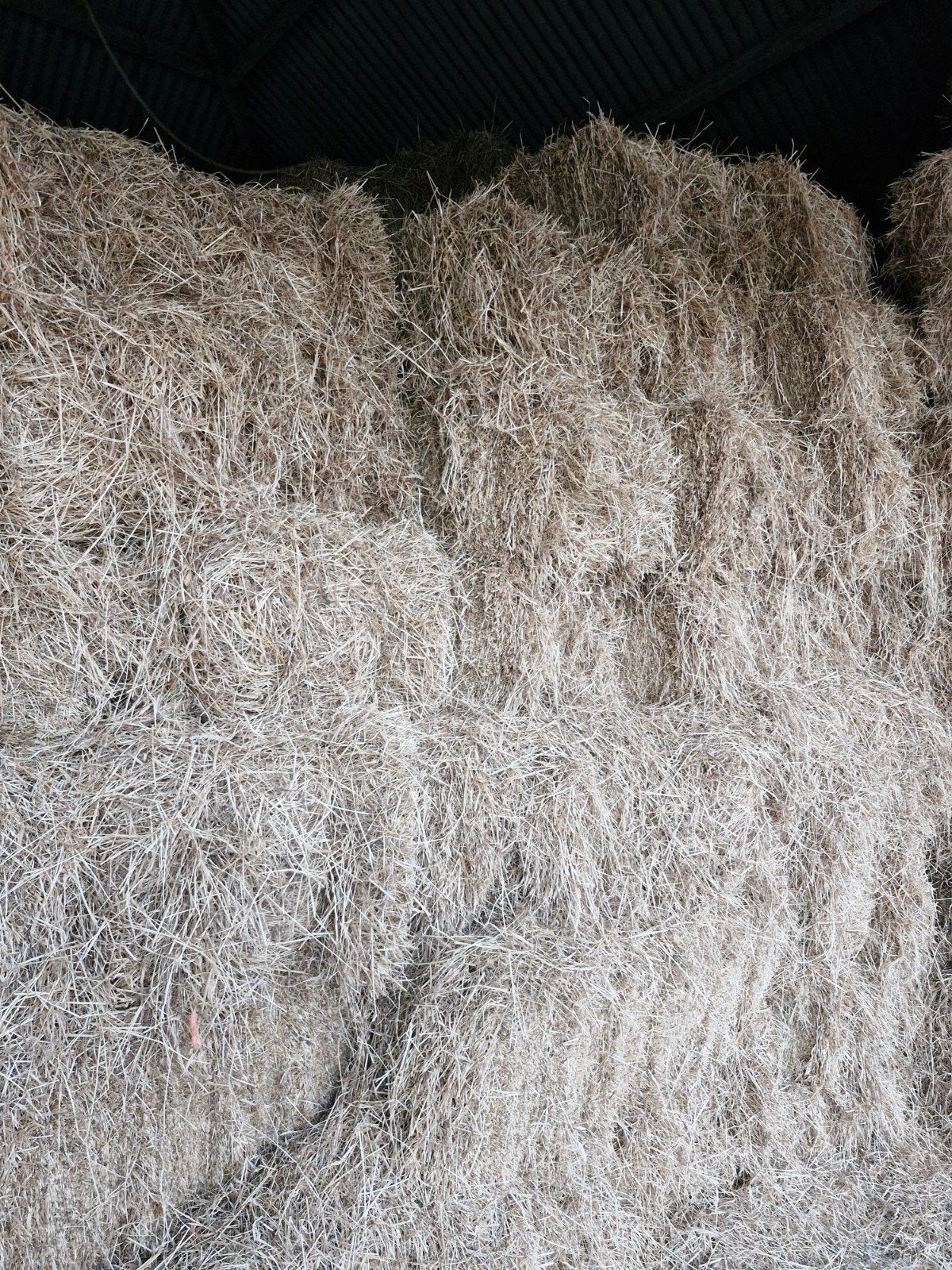 kleine balen hooi te koop, Ophalen, Vee