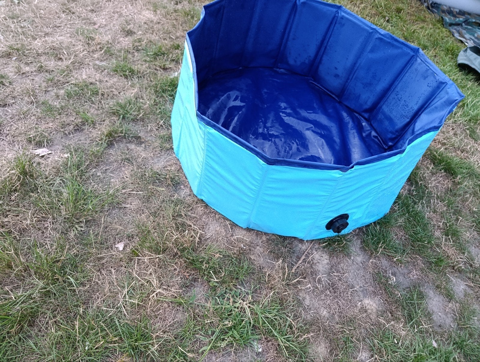 Opvouwbaar zwembadje voor huisdieren of kinderen, Dieren en Toebehoren, Honden-accessoires, Ophalen of Verzenden, Gebruikt