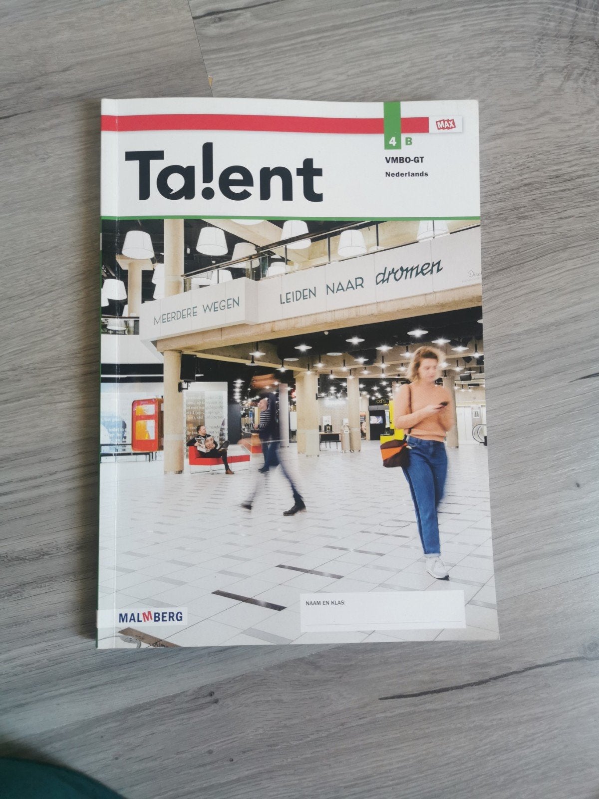 Talent Nederlands 4B VMBO-GT Malmberg, Ophalen of Verzenden, Gelezen, VMBO, Nederlands