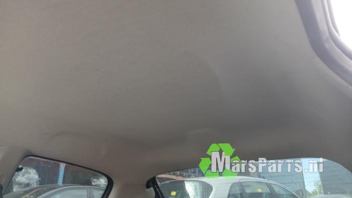 Hemelbekleding van een Peugeot 206 PLUS, Auto-onderdelen, Gebruikt, -, -, Ophalen of Verzenden