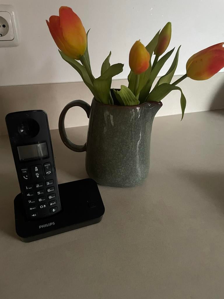Philips draadloze telefoon, Ophalen of Verzenden, Gebruikt, 1 handset