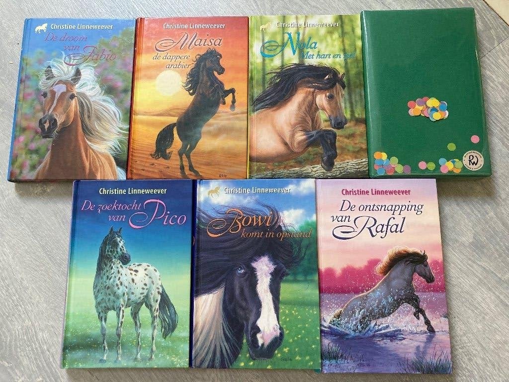 Christine linneweever boeken de gouden paardenserie, Ophalen of Verzenden, Zo goed als nieuw, Fictie algemeen