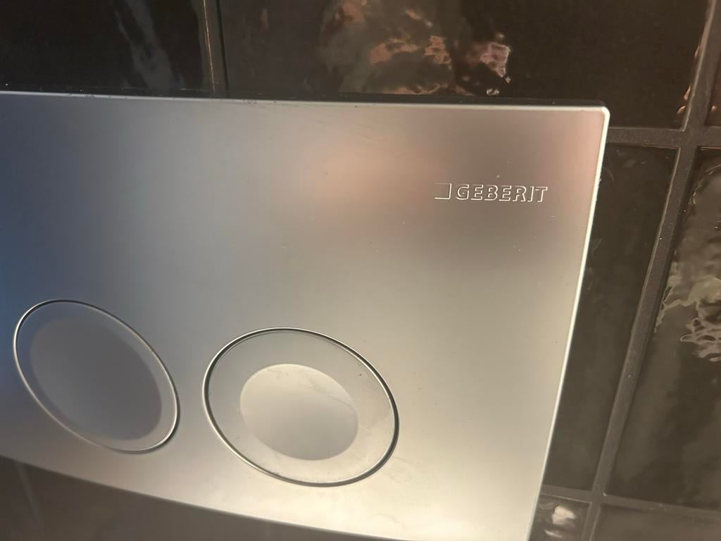 Geberit WC Drukplaat Delta 25 Mat Chroom (UP100), Ophalen of Verzenden, Gebruikt, Chroom, Toilet