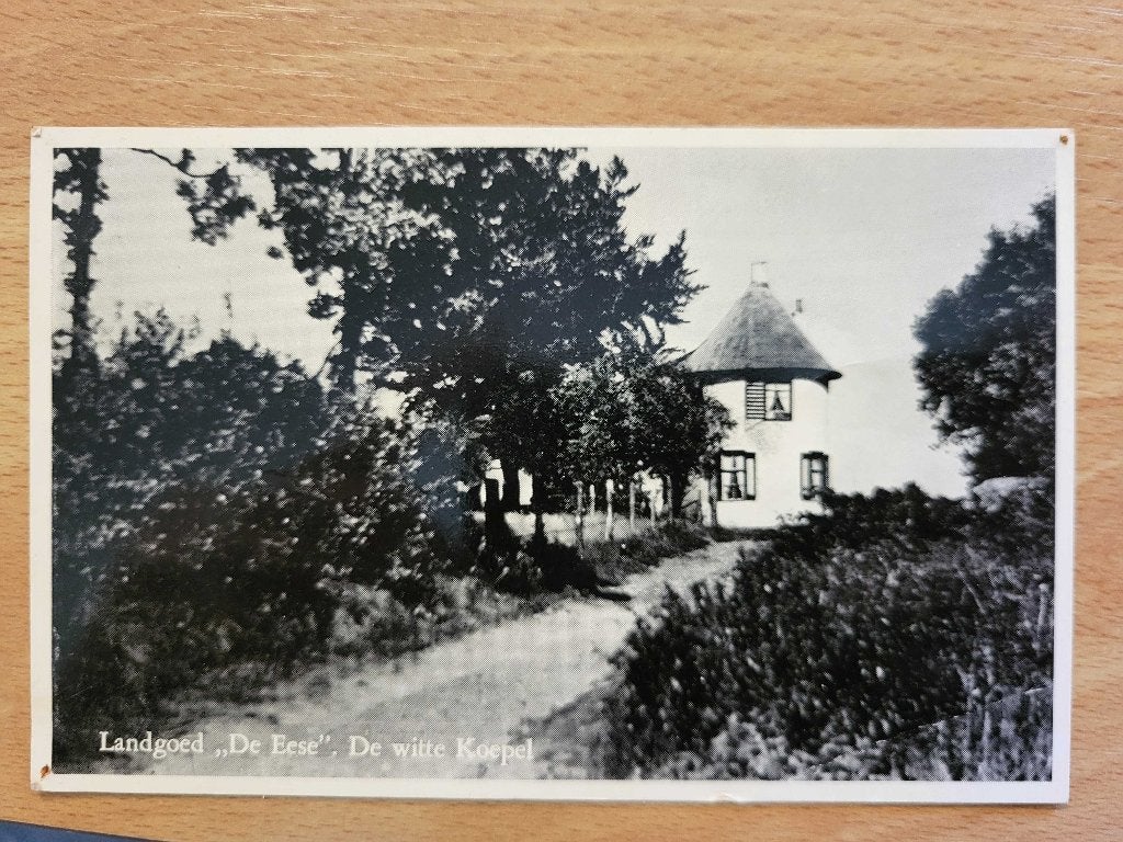 ansicht Steenwijk landgoede de Eese, Verzamelen, Verzenden, Voor 1920, Overijssel