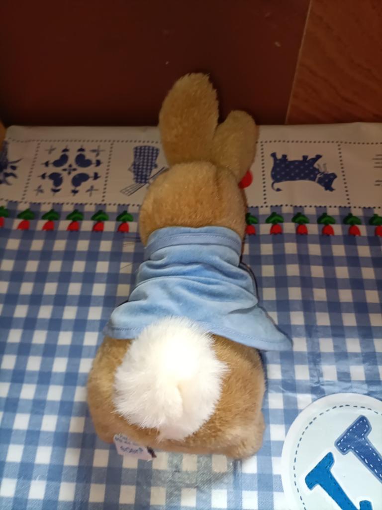 Frederick warne Konijn knuffel Eden 26 cm groot, Ophalen of Verzenden, Zo goed als nieuw, Konijn