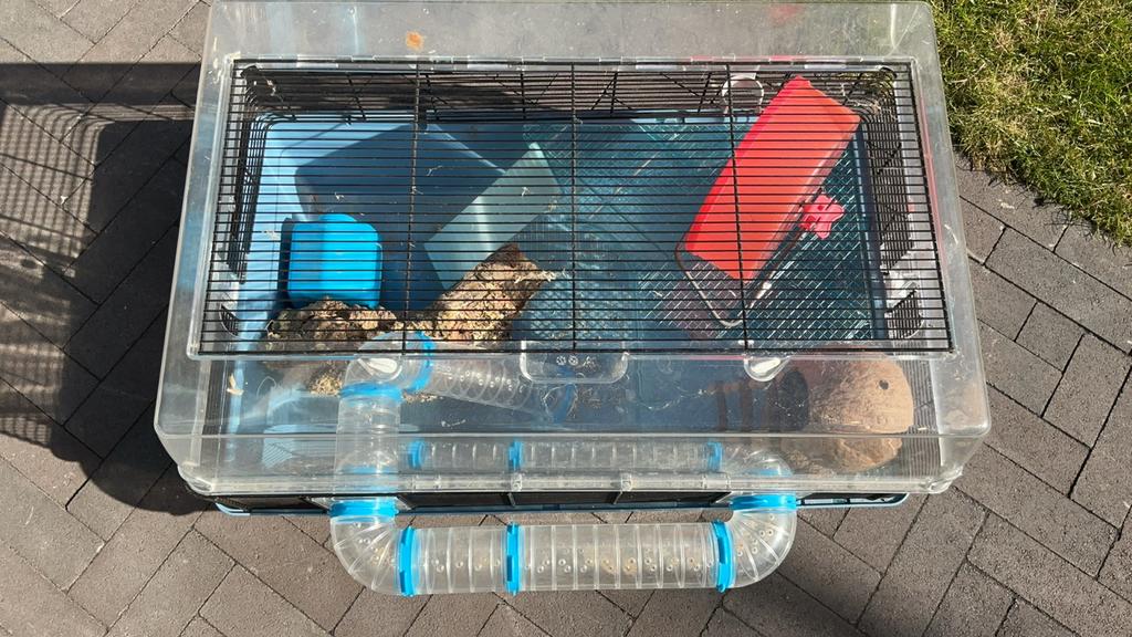 Ferplast Duna Fun Large  - Blauwe hamster/muizenkooi, Kooi, Minder dan 75 cm, Zo goed als nieuw, Hamster