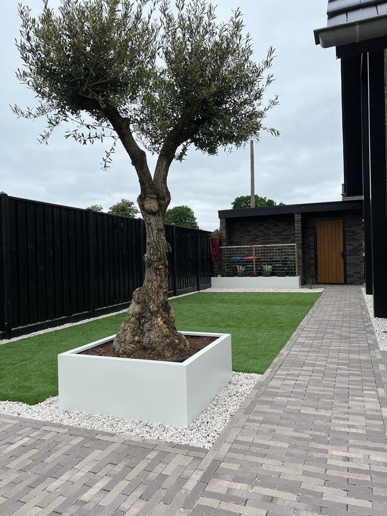 Stalen plantenbakken, 100 cm of meer, Nieuw, Ophalen of Verzenden, Metaal