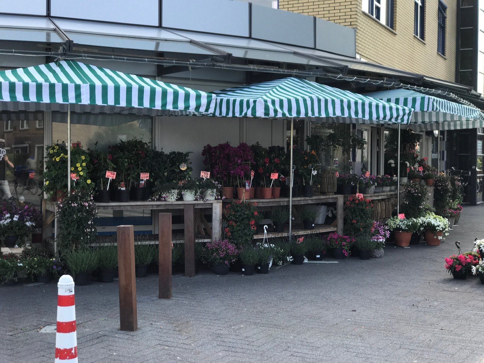 Lichtgewicht markt parasol’s 4x 200x300cm 1x 300x300 cm, Ophalen, 2 tot 3 meter, Zo goed als nieuw, Parasolvoet