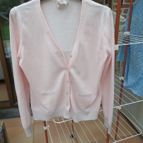 Gileetje roze lurex onderaan Thelma&Louise mt L, Kleding | Dames, Maat 38/40 (M), Thelma&Louise, Nieuw, Ophalen of Verzenden
