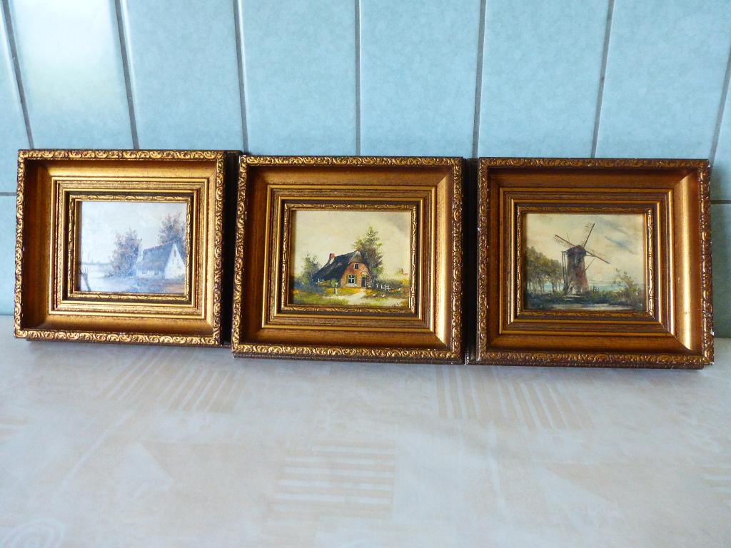 3 schilderijen W. v. d. Berg, Ophalen of Verzenden