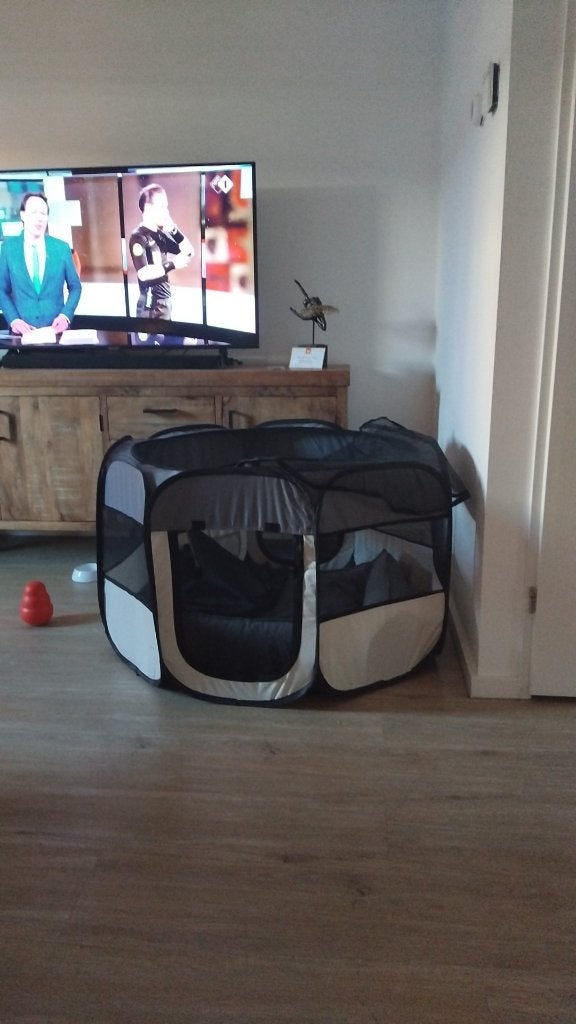 Puppyren, Ophalen, Zo goed als nieuw