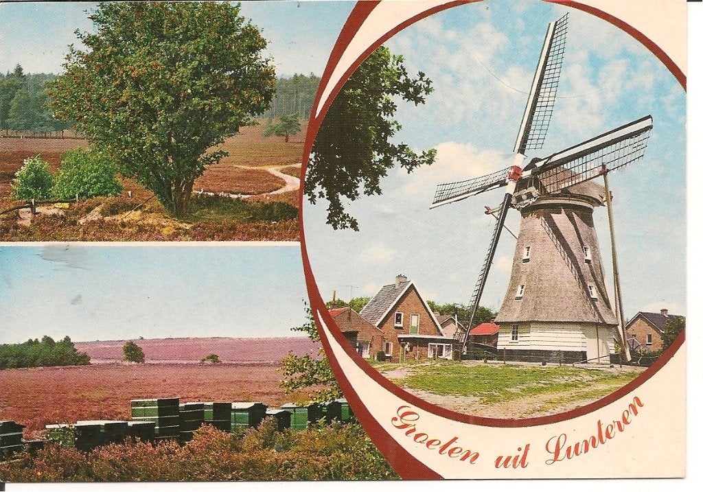 Ansichtkaart Groeten uit Lunteren - Molen en Heide, Verzamelen, Ansichtkaarten | Nederland, Ophalen of Verzenden, 1980 tot heden