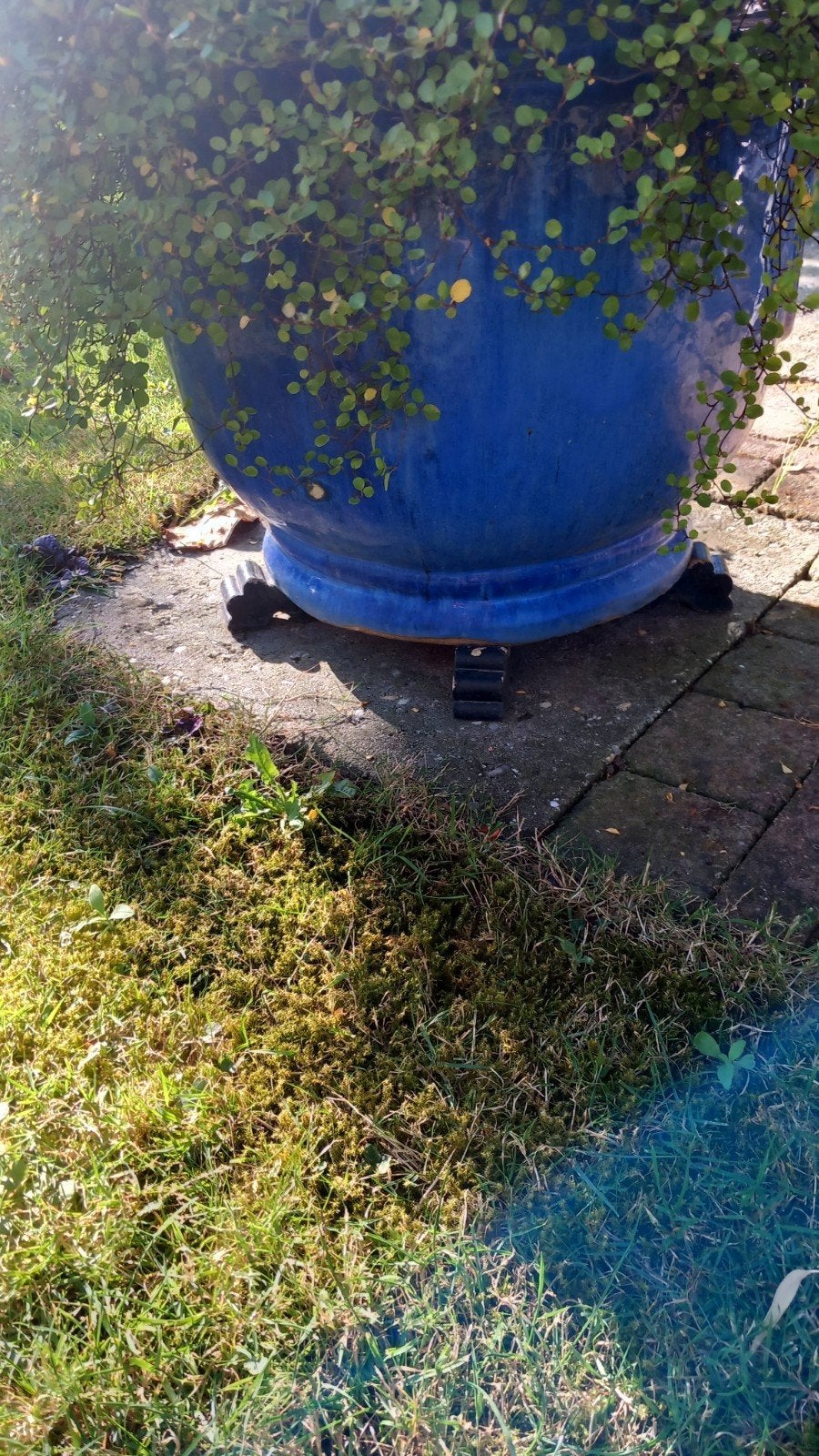 Grote blauwe bloempot voor tuin of terras, Ophalen, Gebruikt, 40 cm of meer, Rond
