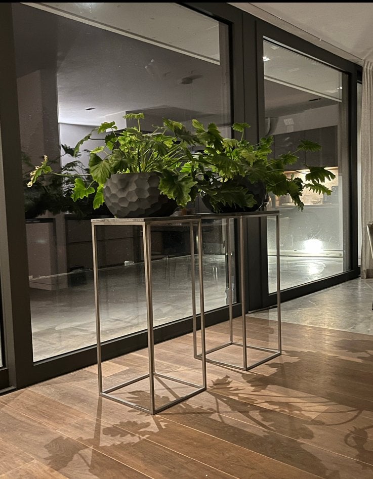 Philondendron • kamerplant • supermooi • 2 st • prijs p st, Ophalen, Overige soorten, Halfschaduw, Minder dan 100 cm