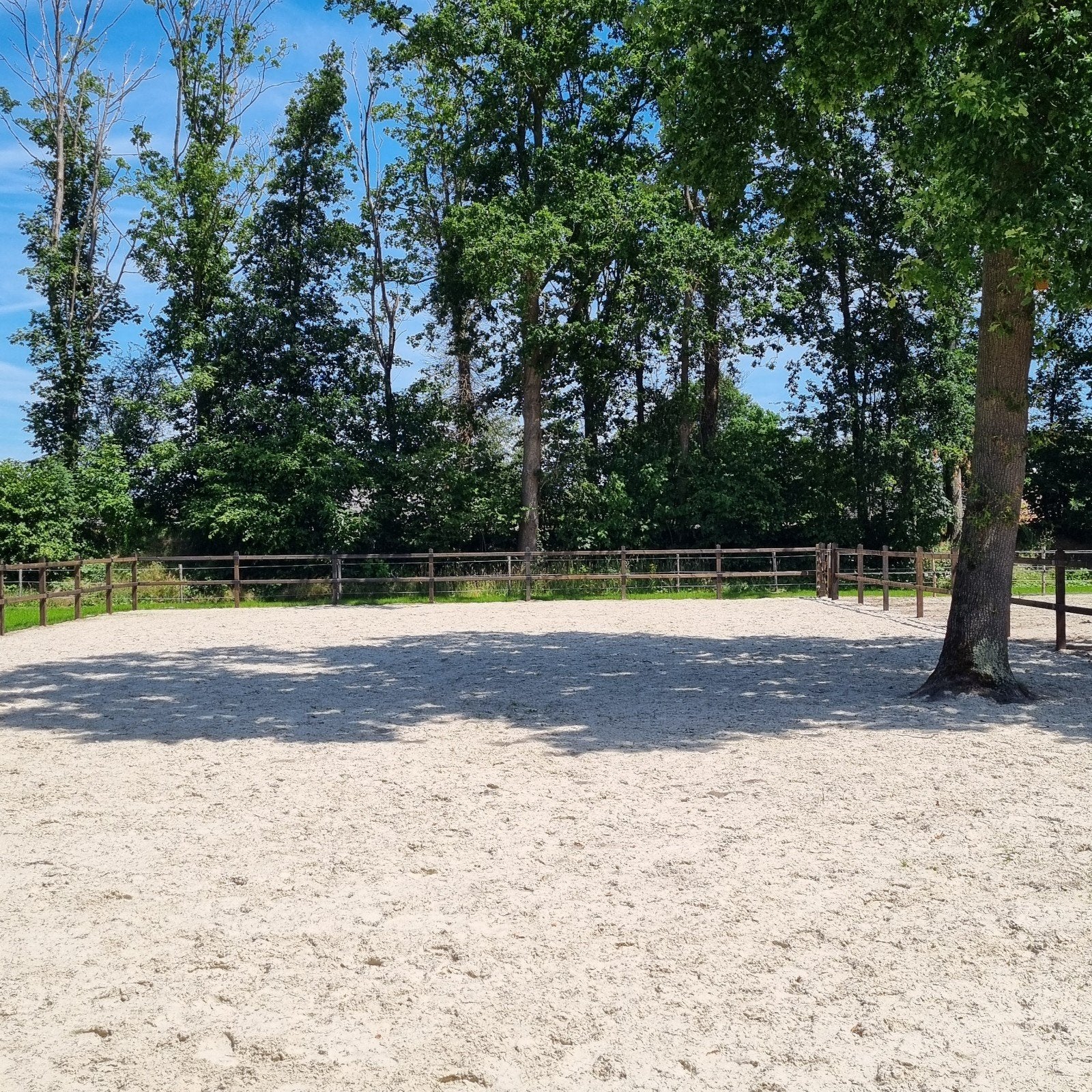 Stal + wei te huur, Weidegang, 1 paard of pony